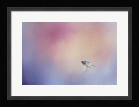 Framed I Wish I Could Fly - Bluebird 1 Print