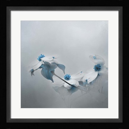 Framed Blue Dogwood Print