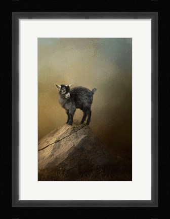 Framed Little Rock Climber Print