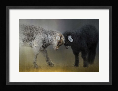 Framed Meeting Of The Minds Print