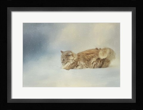 Framed Snow Diving Print