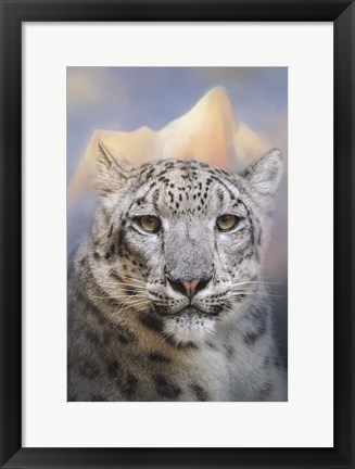 Framed Snow Leopard At The Mountain Print