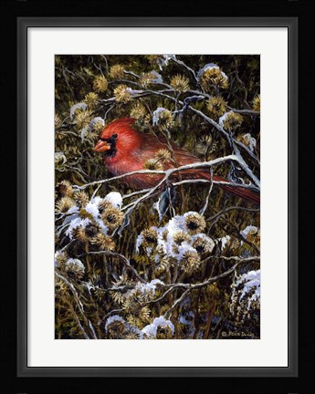 Framed Cardinal &amp; Thistles Print
