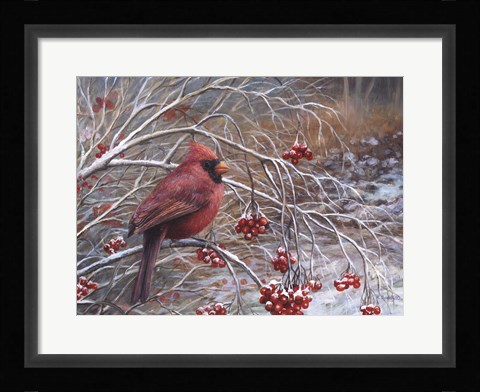 Framed Cardinal and Berries Print