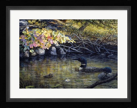 Framed Peaceful Reflections Print