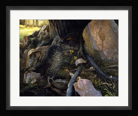 Framed Ruffed Grouse &amp; Trout Lilies Print