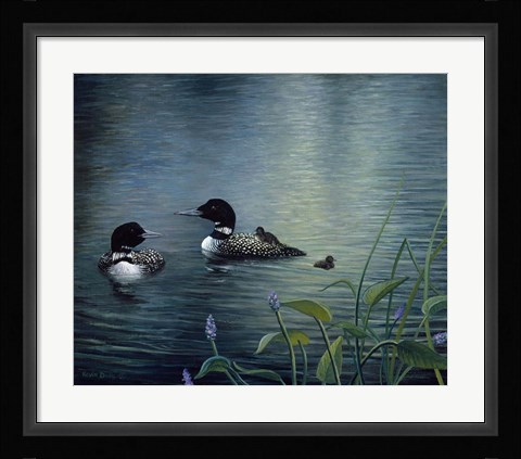 Framed Virginias Loons Print