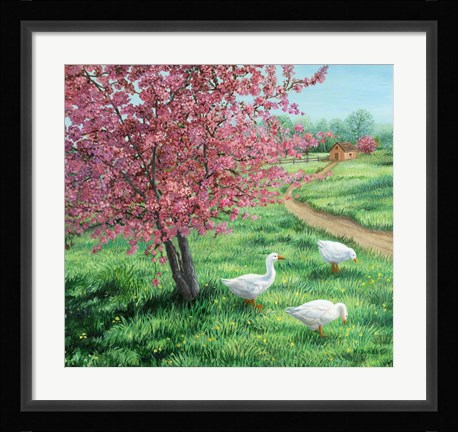 Framed Cherry Blossom Time Print