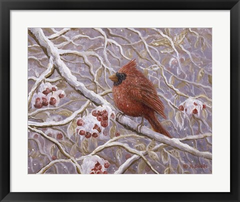 Framed Cardinal and Wild Berries Print
