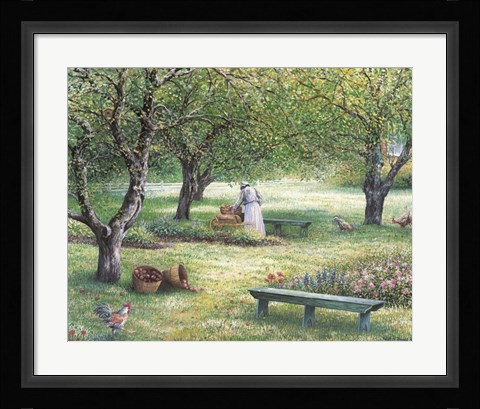 Framed Apple Orchid Print