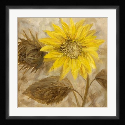 Framed Sunflower III Print