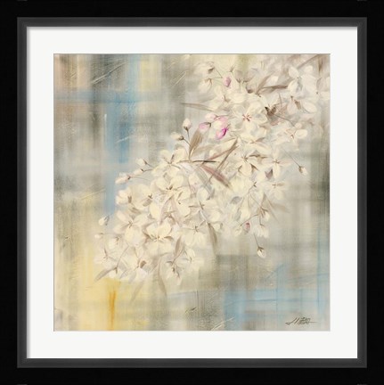 Framed White Cherry Blossom II Print