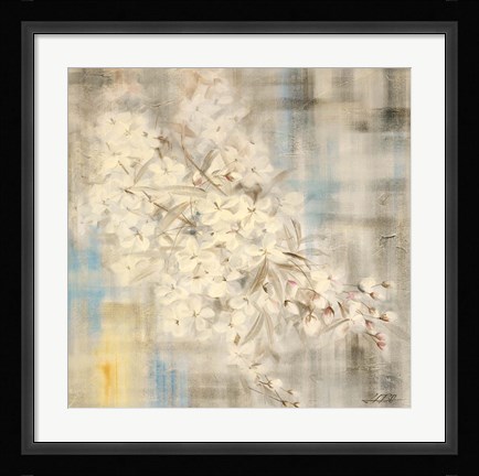 Framed White Cherry Blossom III Print