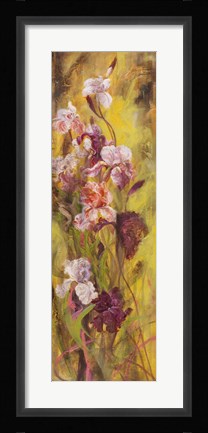 Framed Bearded Iris II Print