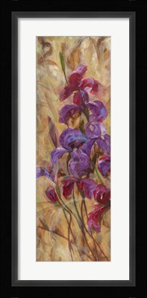Framed Bearded Iris V Print