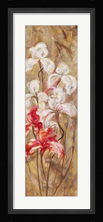 Framed Bearded Iris VI Print