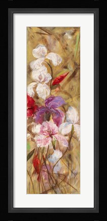 Framed Bearded Iris VIII Print