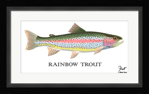 Framed Rainbow Trout Print