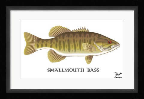 Framed Smallmouth Bass Print
