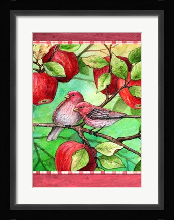 Framed Red Finches With Apples Print