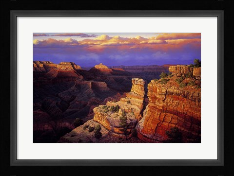 Framed Symphony Print