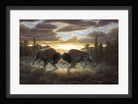 Framed Buffalo Print