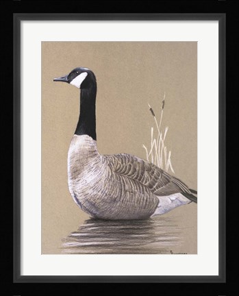 Framed Lone Goose Print