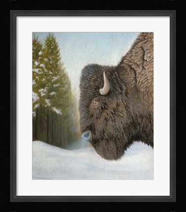 Framed Lone Buffalo Print