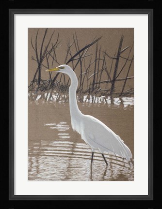 Framed Great Egret Print