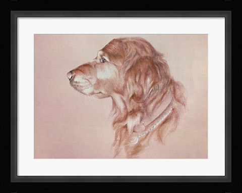 Framed Dog Eight Print