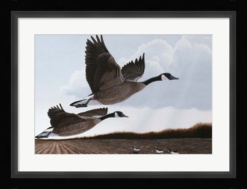 Framed Heavenly Bound Print