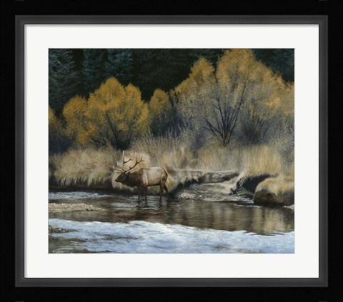 Framed Elk Print