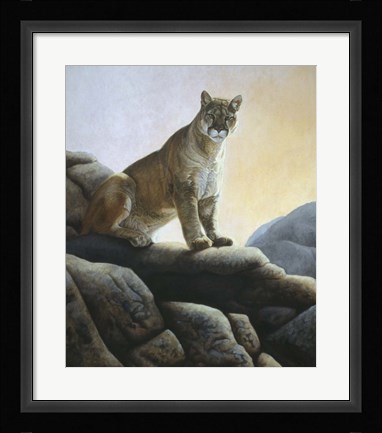 Framed Cougar Print