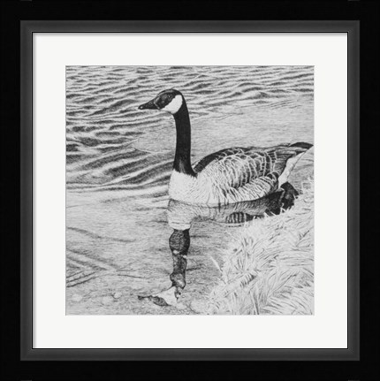 Framed Lone Goose 2 Print