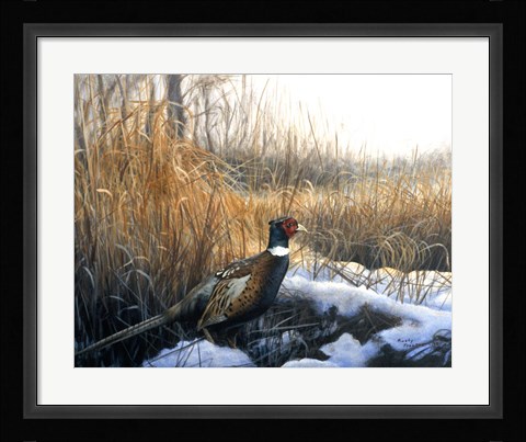 Framed Pheasant Print
