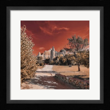 Framed IRadiation Print