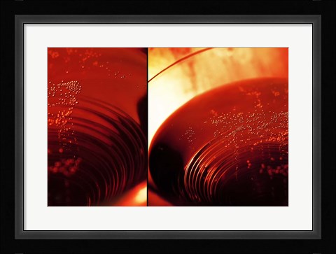 Framed Red Champagne Print