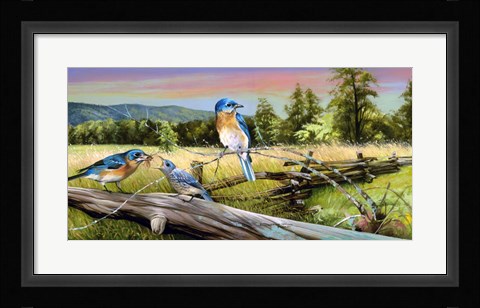 Framed Bluebird Meadow Print