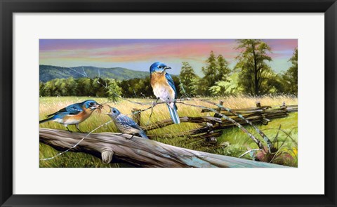 Framed Bluebird Meadow Print