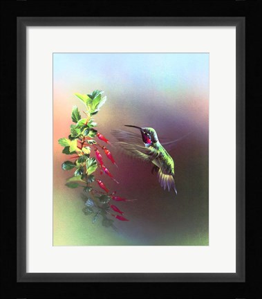 Framed Flower Power Print