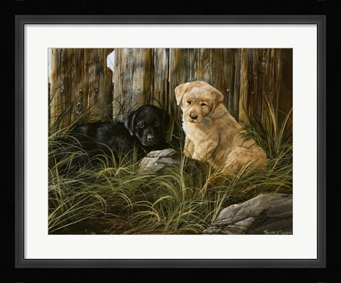 Framed Lab Pup Pair Print