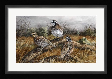 Framed Bobwhite Trio 2 Print