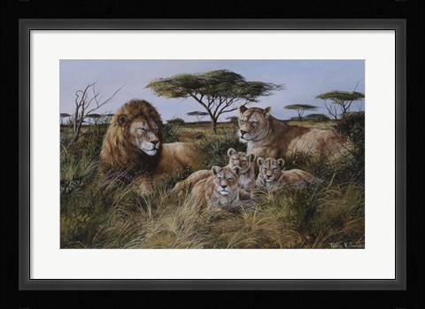 Framed Lion Family Print