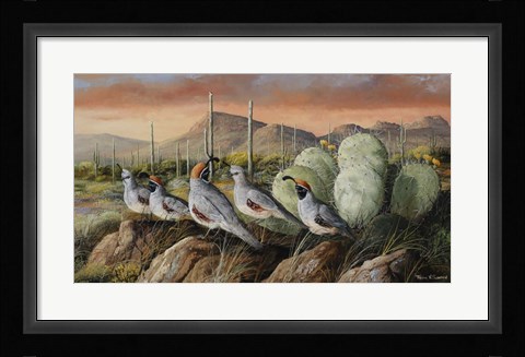 Framed Panther Peak Covey Print