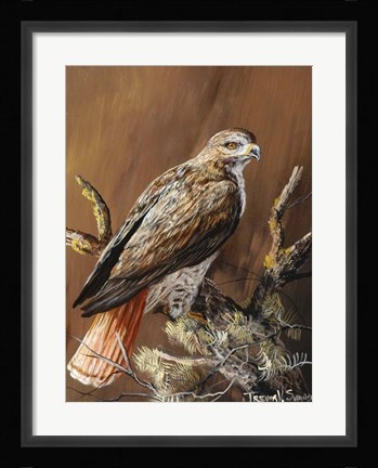 Framed Ponderosa Hunter Print