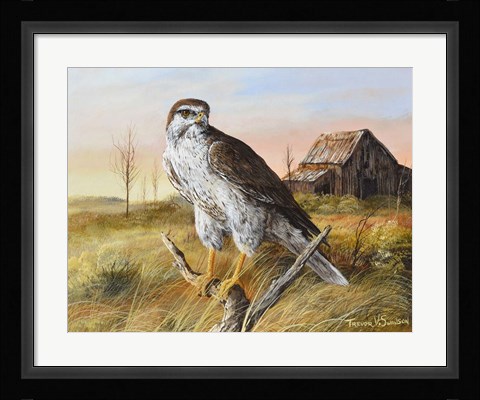 Framed Prairie Guardion Print