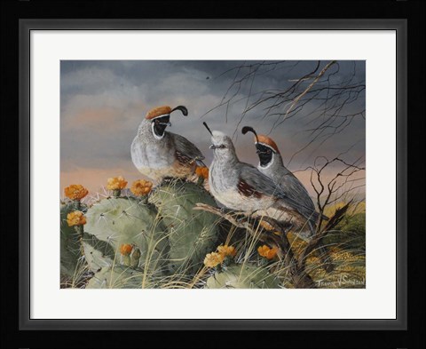 Framed Stormy Spring Print