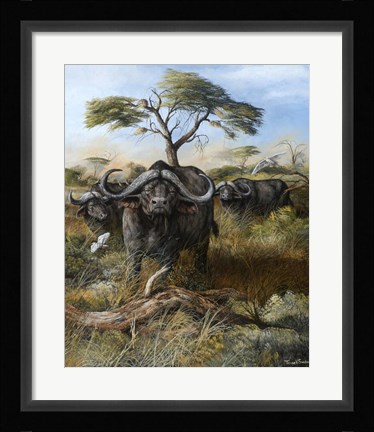 Framed With A Baleful Glare Print