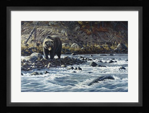 Framed Along The Yellowstone - Grizzly Print