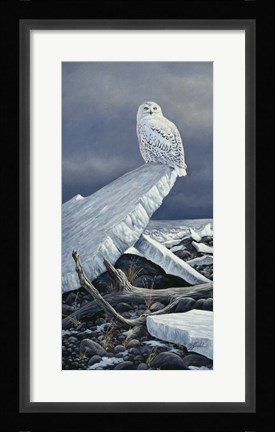 Framed Lakeshore Ice Print